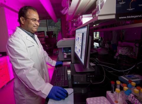 Dr. Mishra in lab