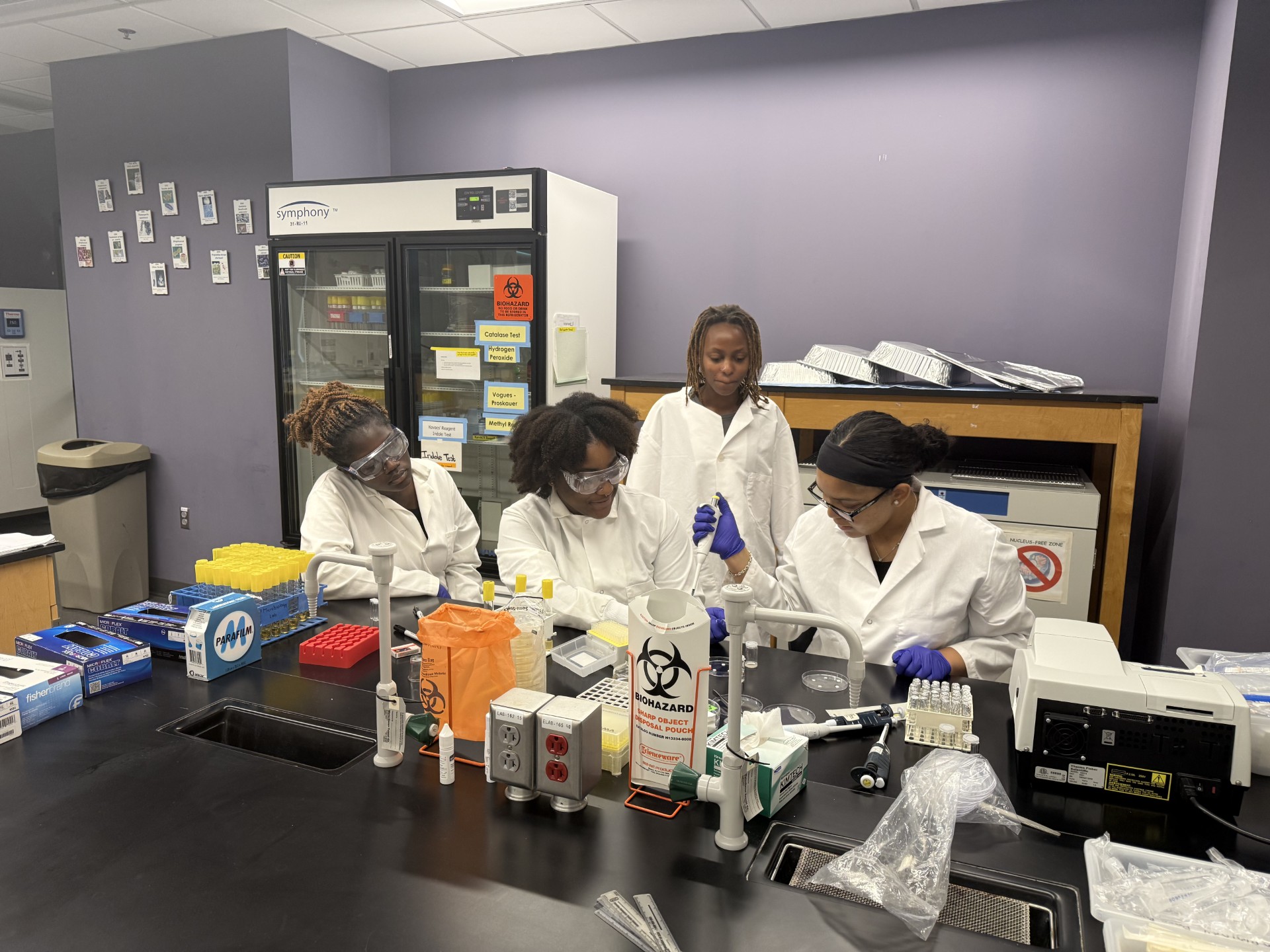 Students doing research